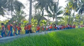 Jalan Santai SDN 1 Manurung Kecamatan Kusan Hilir Kabupaten Tanah Bumbu, di Pematang Sawah