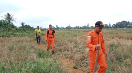 Tim SAR Lakukan Pencarian Seorang Pria di Amuntai Hilang di Hutan Rawa