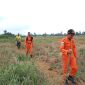 Tim SAR Lakukan Pencarian Seorang Pria di Amuntai Hilang di Hutan Rawa