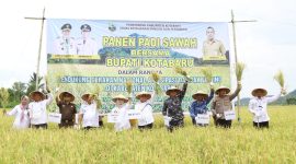 Bupati Kotabaru Saat Ikuti Panen Raya Padi di Desa Salino