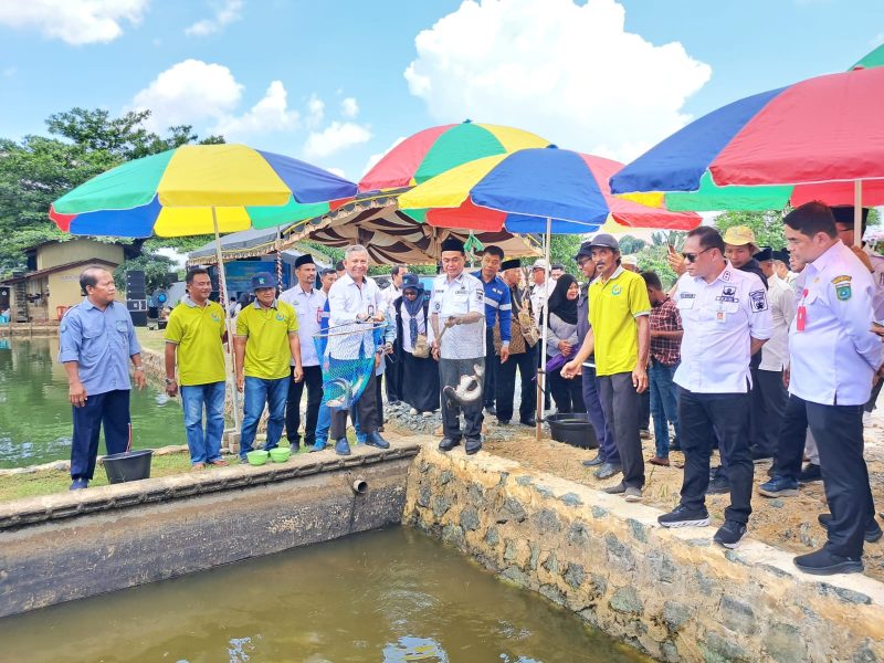 Foto : Riswan / Bupati Tanah Bumbu dr HM Zairullah Azhar Panen Ikan Patin di Kampung Perikanna Cerdas di Desa Sungai Dua Kecamatan Simpang Empat Tanah Bumbu