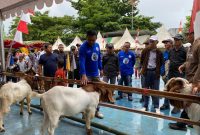 Kapolres Tanbu AKBP Arief Prasetya bersama Sekda Tanbu H Ambo Sakka Saat Tinjau Kambing Yang Ikut Kontes