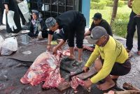 Petugas Mengemas Daging Kurban Untuk Dibagikan Kepada Masyarakat