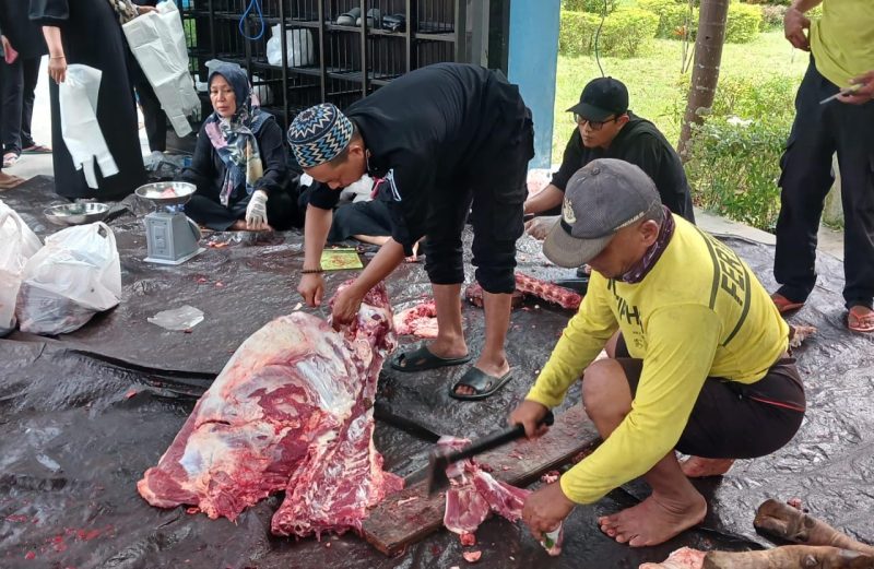 Petugas Mengemas Daging Kurban Untuk Dibagikan Kepada Masyarakat