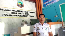 Kades Pantai Baru, Ansar