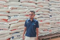 Petugas Saat Perlihatkan Stok Beras di Bulog Cabang Kotabaru