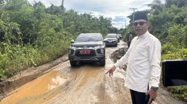 Wakil Bupati Kotabaru, Syairi Mukhlis