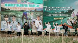Bupati Tanah Bumbu, Andi Rudi Latif, memimpin langsung penanaman padi serentak di areal persawahan Gunung Tinggi, Kecamatan Batulicin.