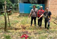 Tersangka dan Polisi Saat Memperlihatkan Lokasi Pembunuhan di Kebun Kelapa Desa Wonorejo Kecamatan Satui Kabupaten Tanah Bumbu