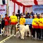 Kapolres Tanah Bumbu AKBP Arief Prasetya SIK saat Foto Bersama Juara Kontes Kambing Ekstrim Lokal Tanah Bumbu, Minggu (29/6/2025).