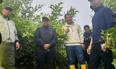 berita-pilihan-foto