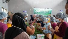 Proses Pelatihan Pengolahan Kelor di Desa Mustika Kecamatan Kuranji Kabupaten Tanah Bumbu oleh CSR PT Borneo Indobara (BIB)