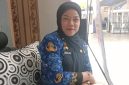 Kasi Pemerintahan Pulau Laut Utara, Herlina