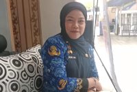 Kasi Pemerintahan Pulau Laut Utara, Herlina