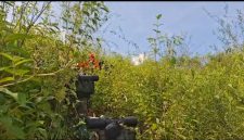 Proses Pencarian Tim SAR Gabungan mencari Helikopter Yang Jatuh di Area Hutan Mantewe Kabupaten Tanah Bumbu, 