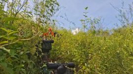 Proses Pencarian Tim SAR Gabungan mencari Helikopter Yang Jatuh di Area Hutan Mantewe Kabupaten Tanah Bumbu, 