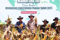 Panen Raya Jagung Polres Tanah Bumbu dipimpin Waka Polres Kompol Apriyansa SIK, Sabtu (28/9/2025) di Kelurahan Gunung Tinggi Kecamata Batulicin