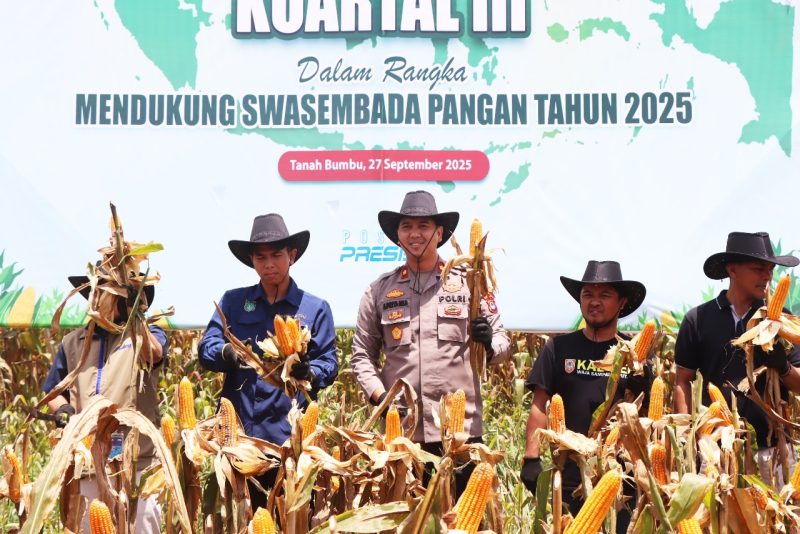Panen Raya Jagung Polres Tanah Bumbu dipimpin Waka Polres Kompol Apriyansa SIK, Sabtu (28/9/2025) di Kelurahan Gunung Tinggi Kecamata Batulicin