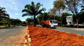 Taman Median Jalan Perkantoran Kabupaten Tanah Bumbu, Mulai Diisi tanah untuk dijadikan taman agar lebih cantik dan nyaman dipandang