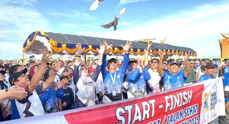 foto slider headline