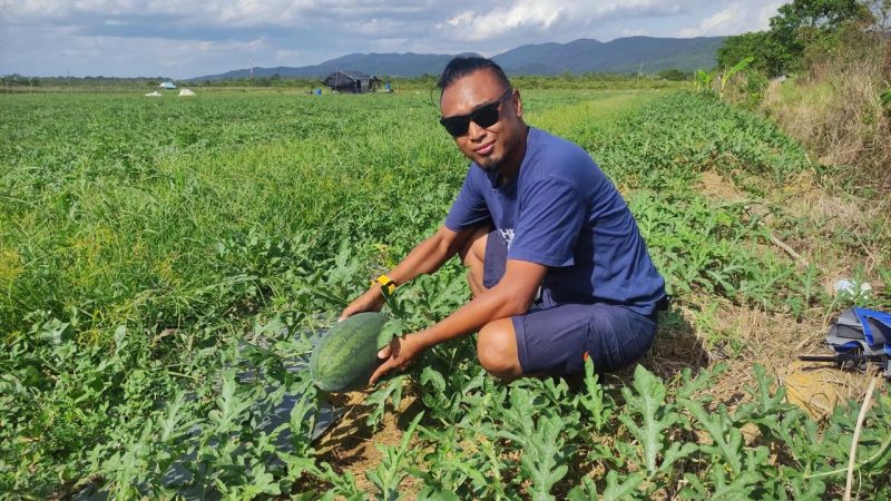 Alfian, Jurnalis di Tanah Bumbu Yang Kini Sambil Bertani Semangka