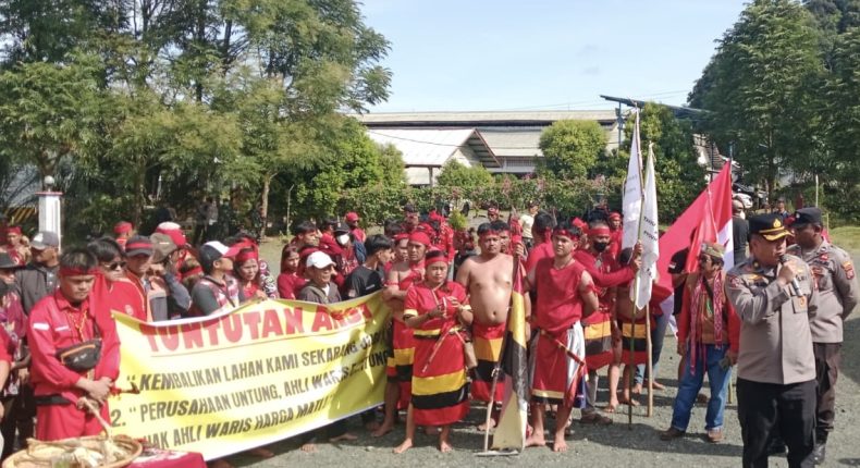 foto slider headline